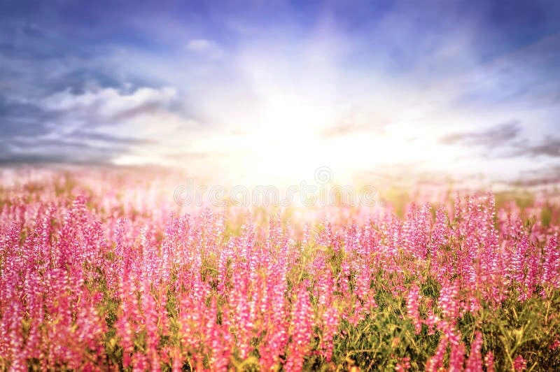 GIF caricata da Simone