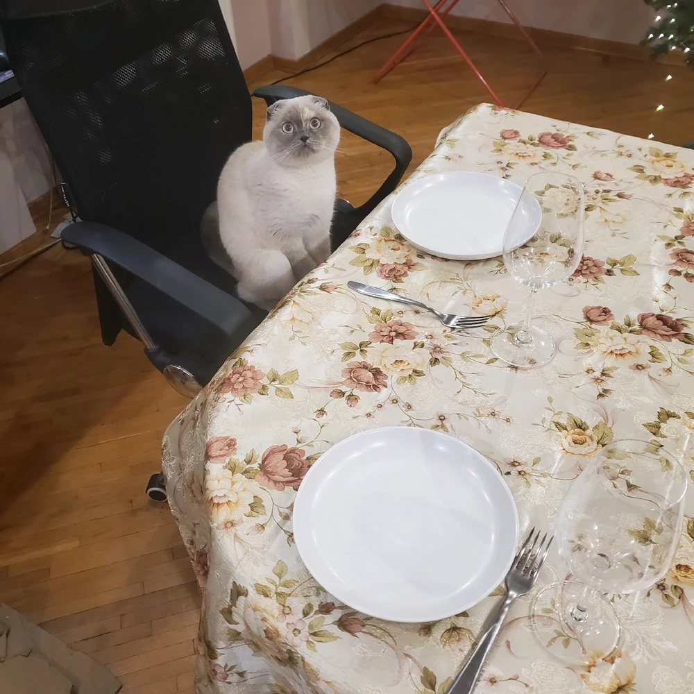 Гіфку завантажив Владислав