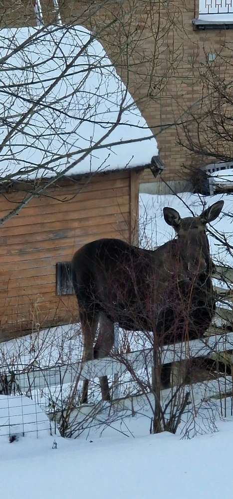 Image uploaded by Tor Helge