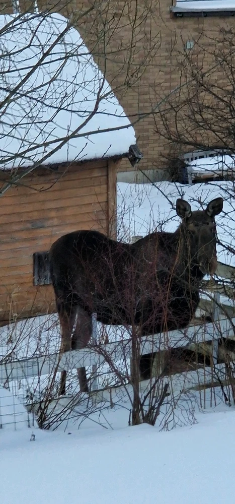 Image uploaded by Tor Helge