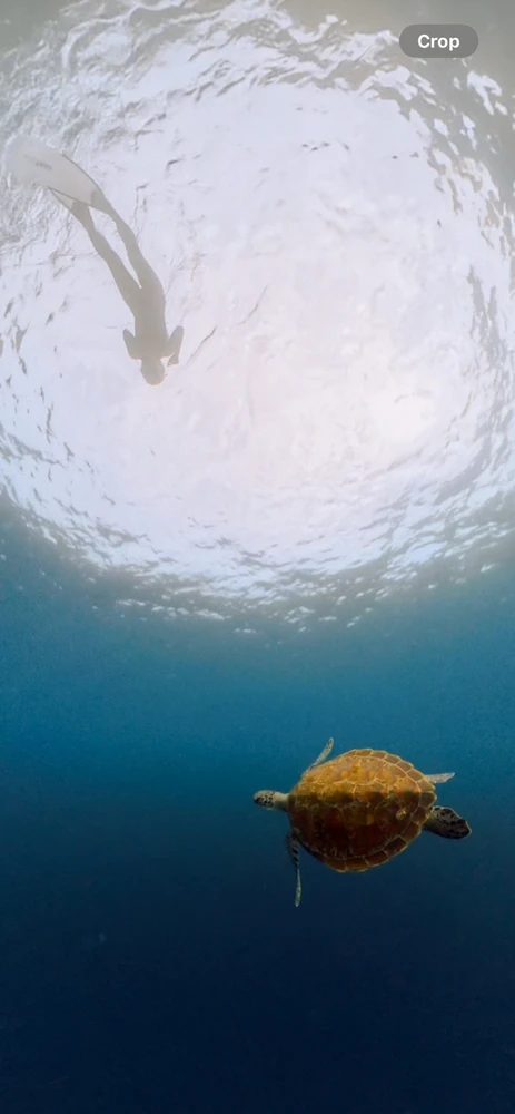 GIF uploaded by Kleya