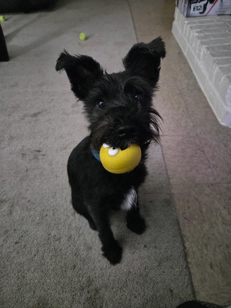 GIF diunggah dening Brooke