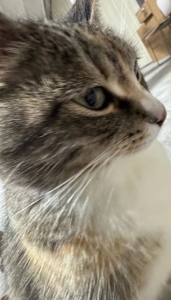 Image uploaded by Simmy