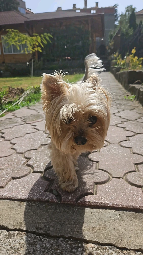 GIF otpremio/la Marko