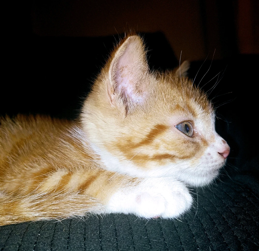 GIF uploaded by Charli