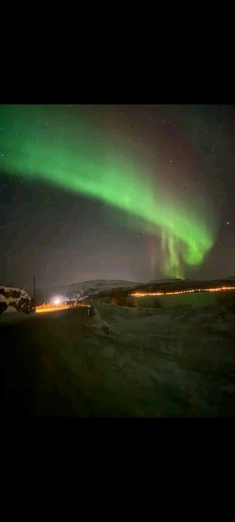 GIF uploaded by Maine