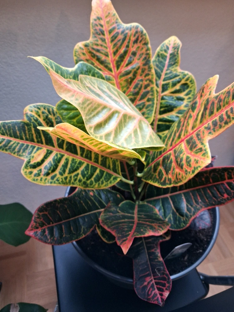 Bild hochgeladen von Ramon