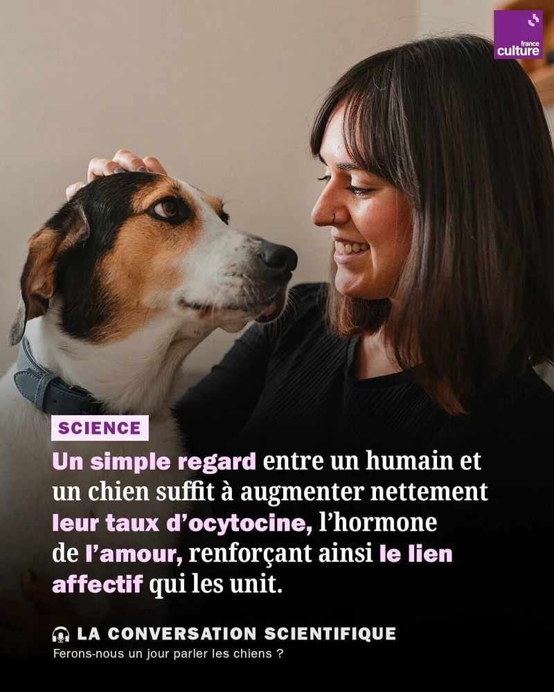 Image uploaded by Etienne