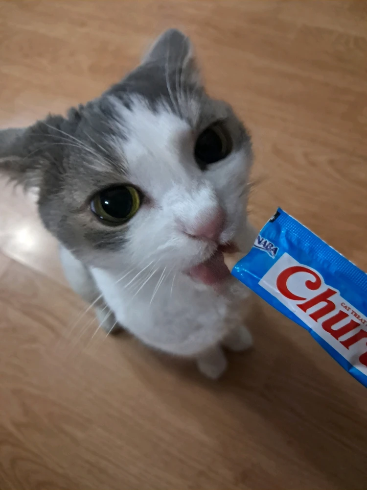 Image uploaded by Tiera