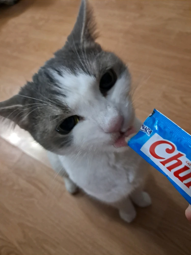 Image uploaded by Tiera