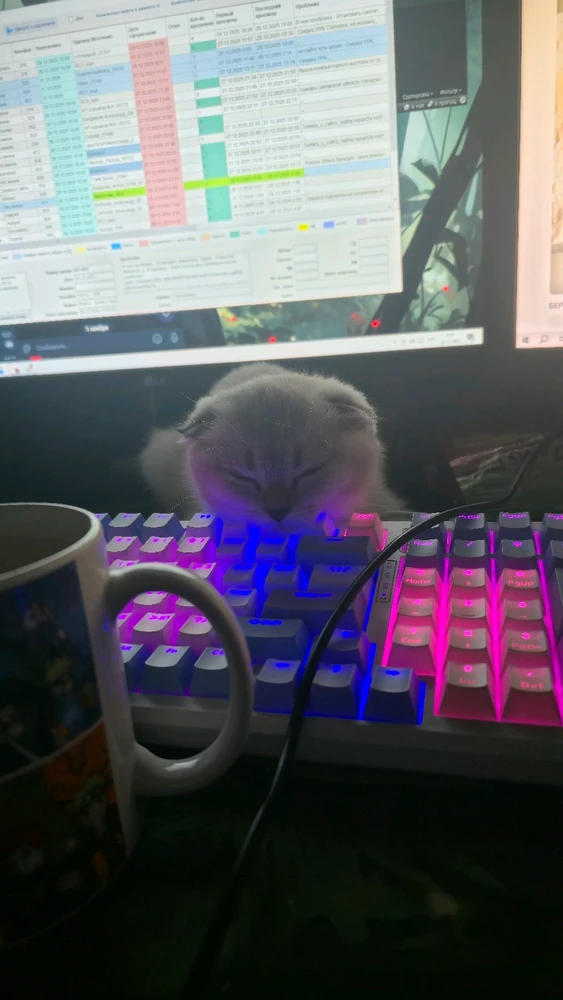 GIF uploaded by No Name