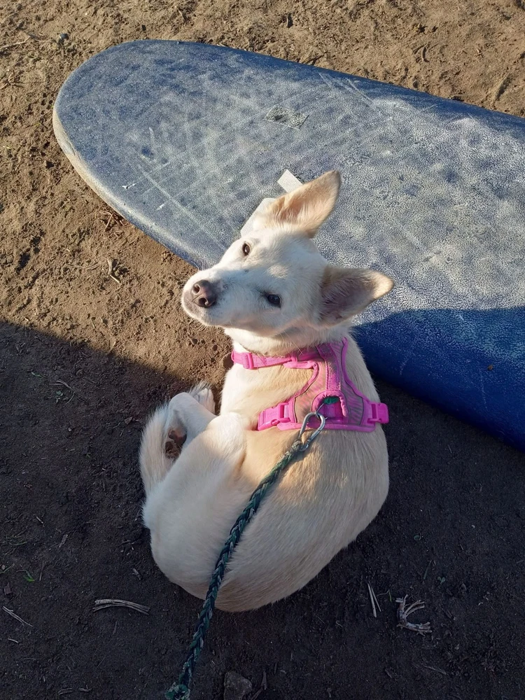 GIF uploaded by Jonathan