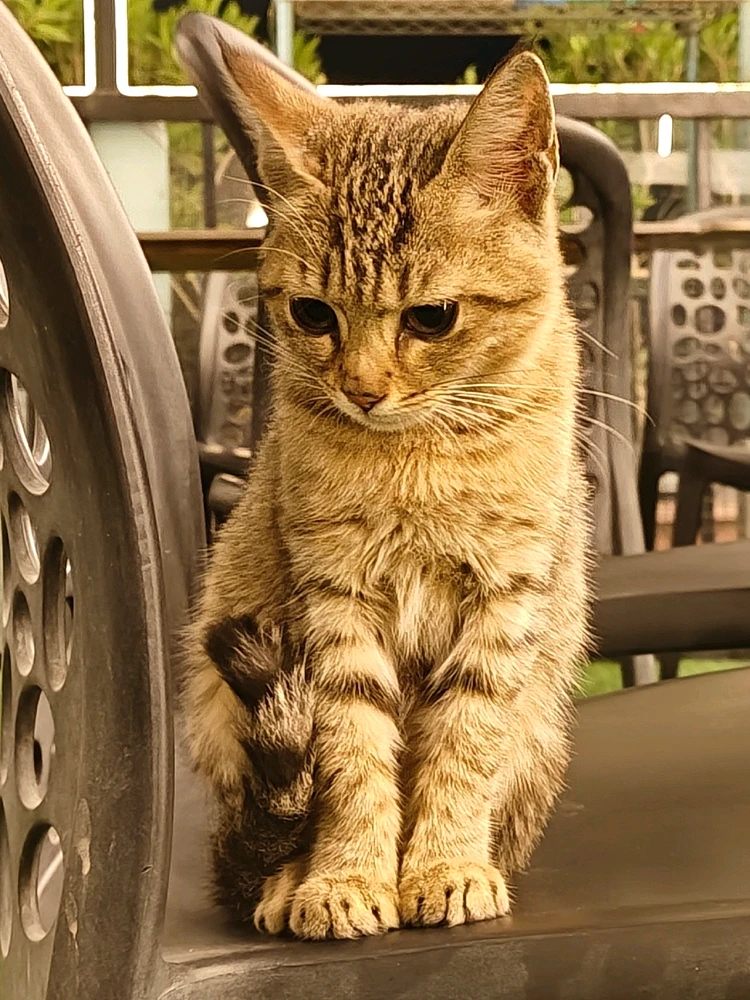 GIF uploaded by Daniel lavis george