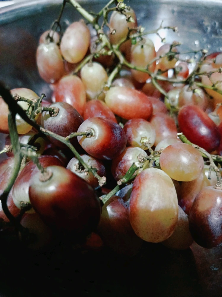 Image uploaded by Amy