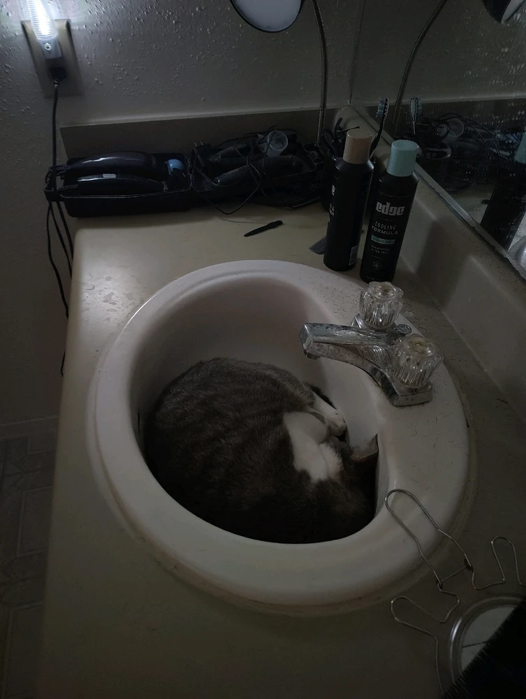 GIF uploaded by Kal Rizzy