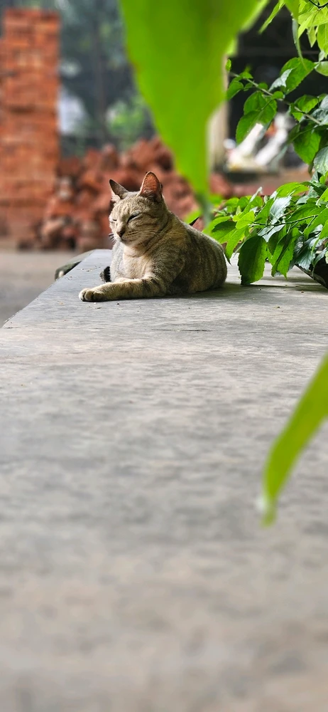 GIF uploaded by Maya