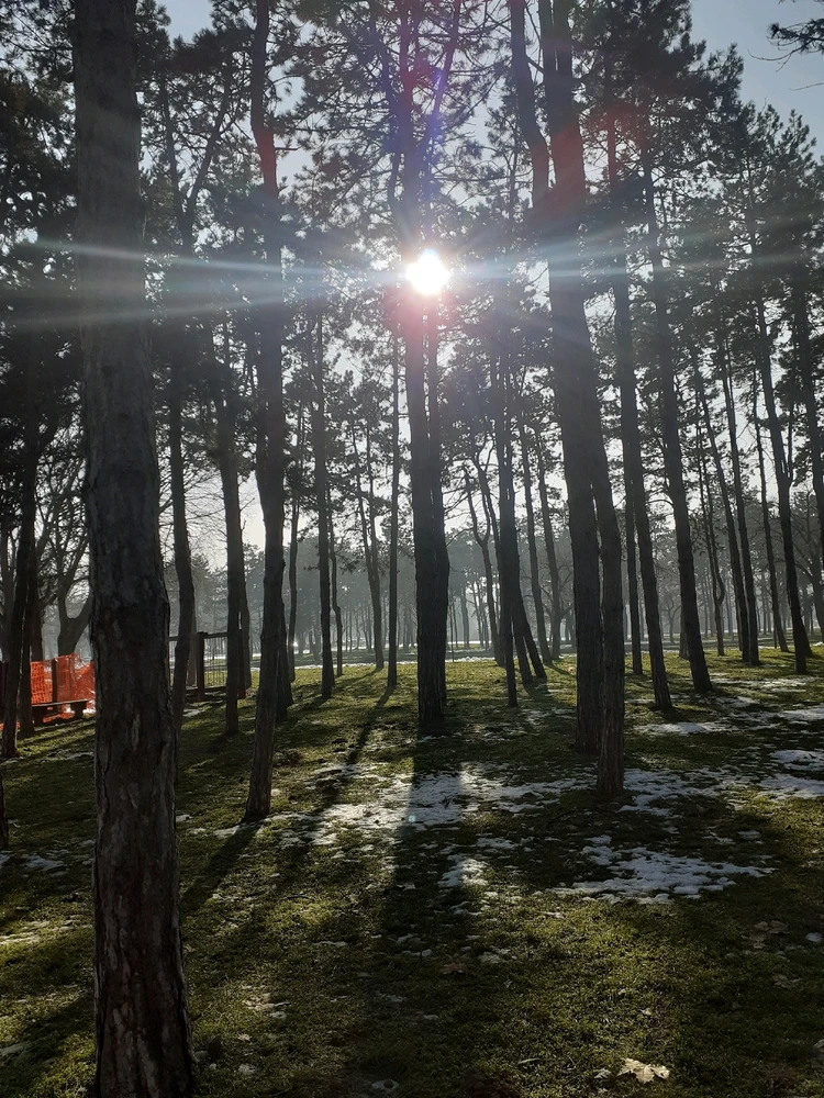 Image uploaded by Vladimir