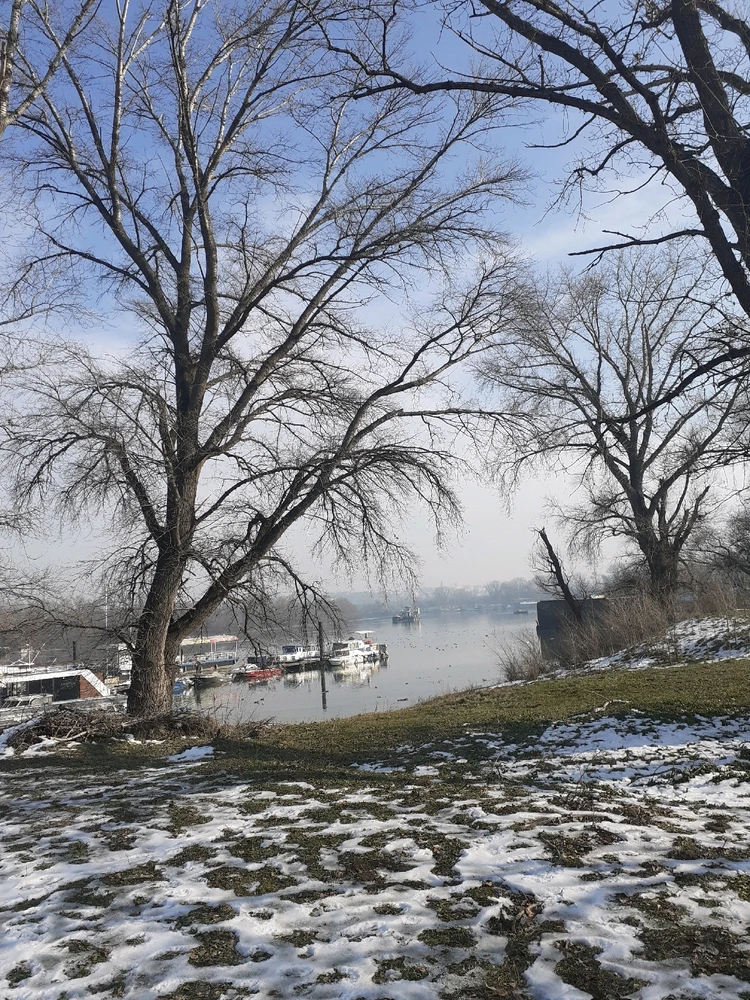 Image uploaded by Vladimir