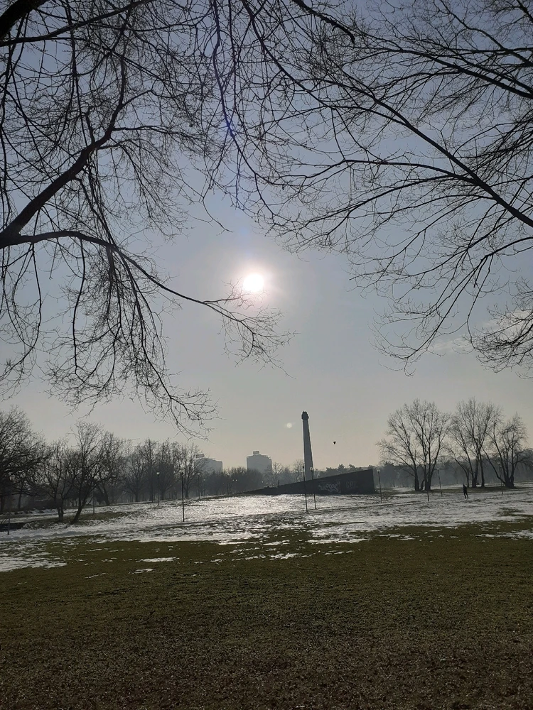 Image uploaded by Vladimir