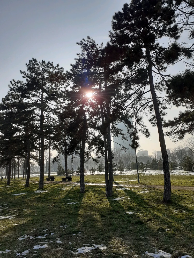 Image uploaded by Vladimir