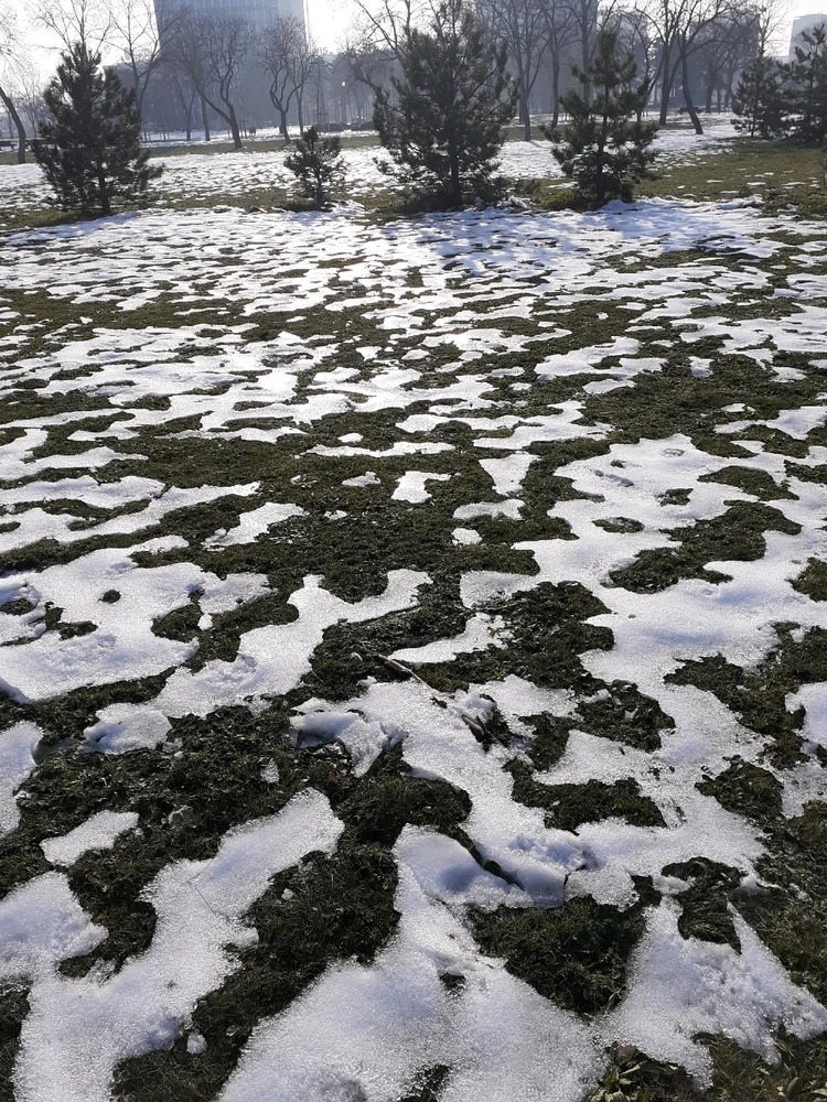 Image uploaded by Vladimir