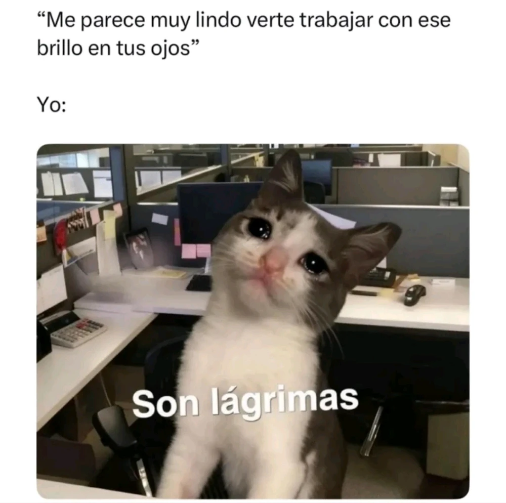 GIF subido por Dayna