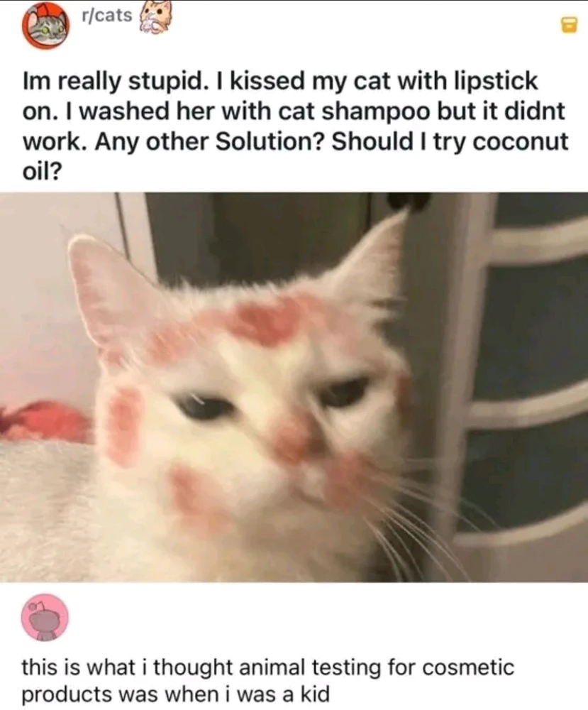 GIF uploaded by Dayna