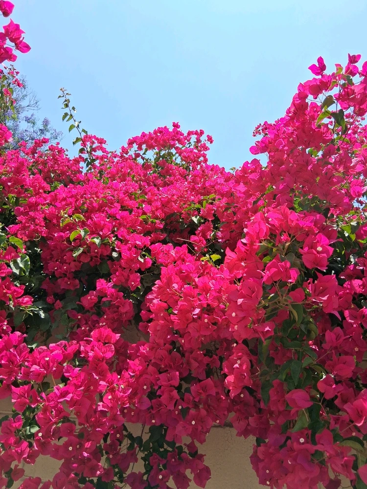 GIF uploaded by Crissy