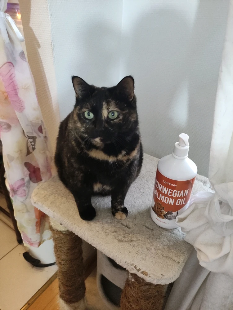 GIF diunggah dening Nathalie