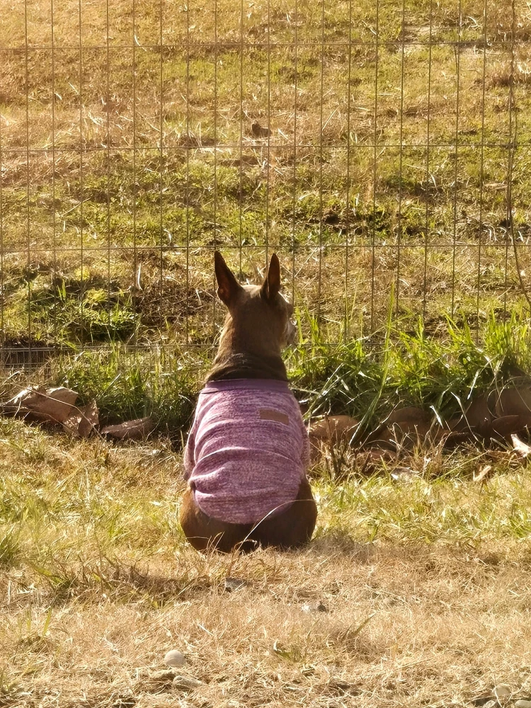 GIF uploaded by Maria