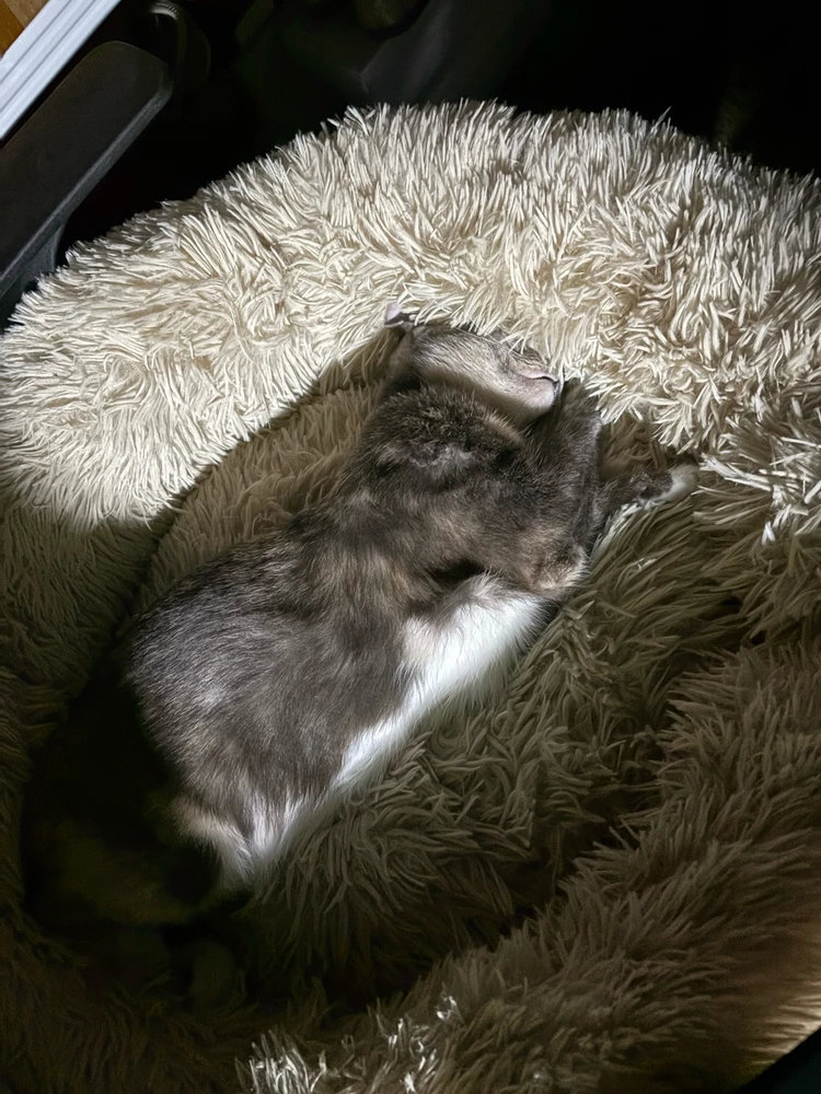 Image uploaded by Patβ‘