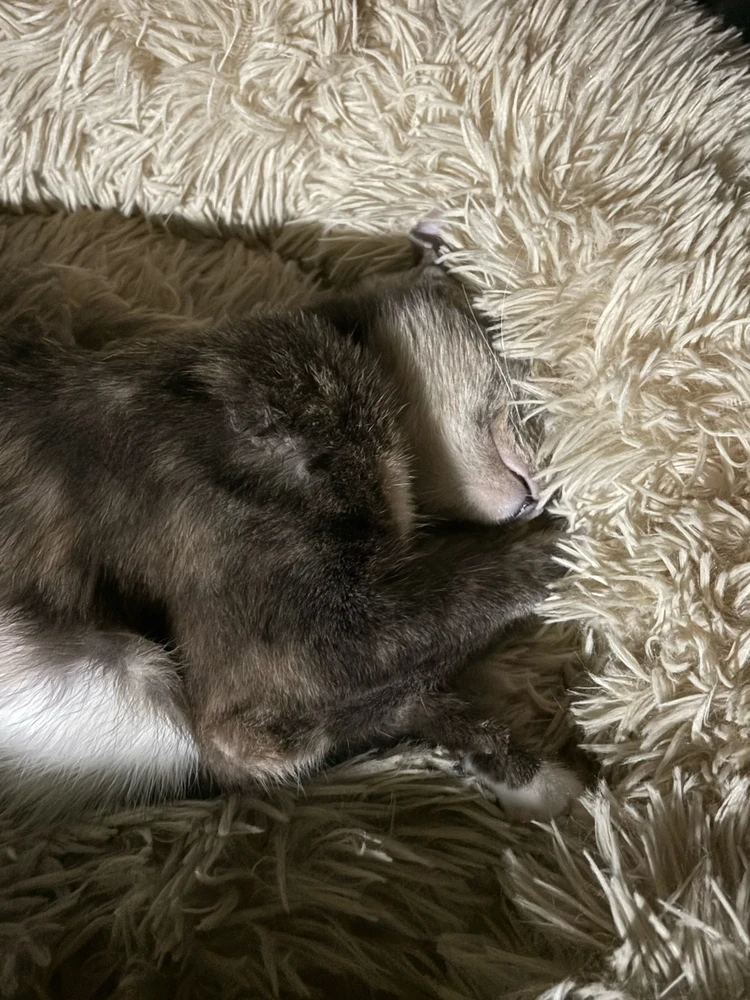 Image uploaded by Patβ‘