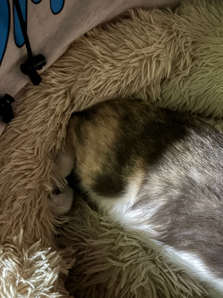 Image uploaded by Patβ‘