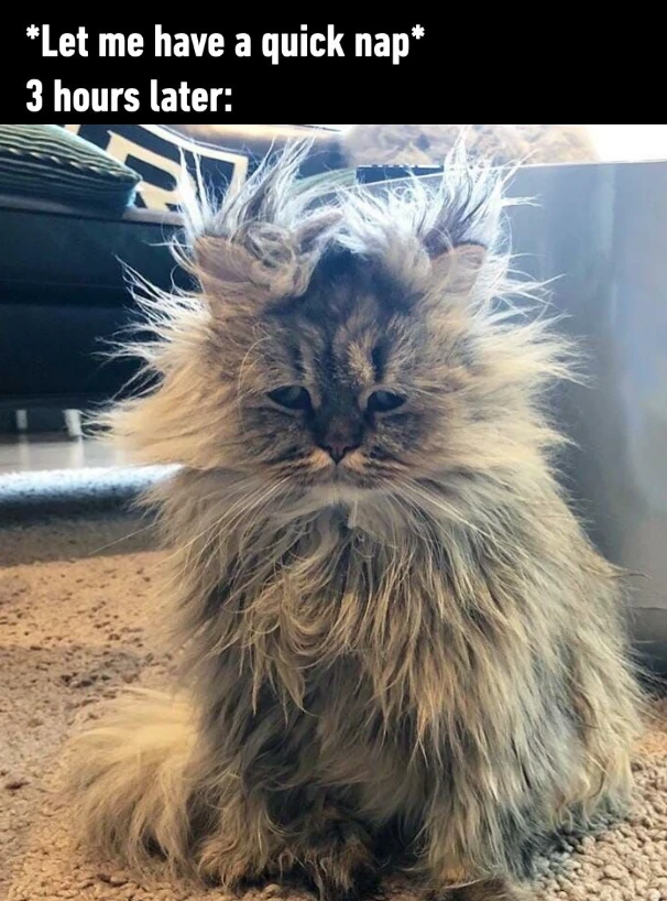 Image uploaded by Charlie