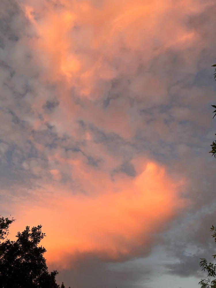 Image uploaded by Aidan