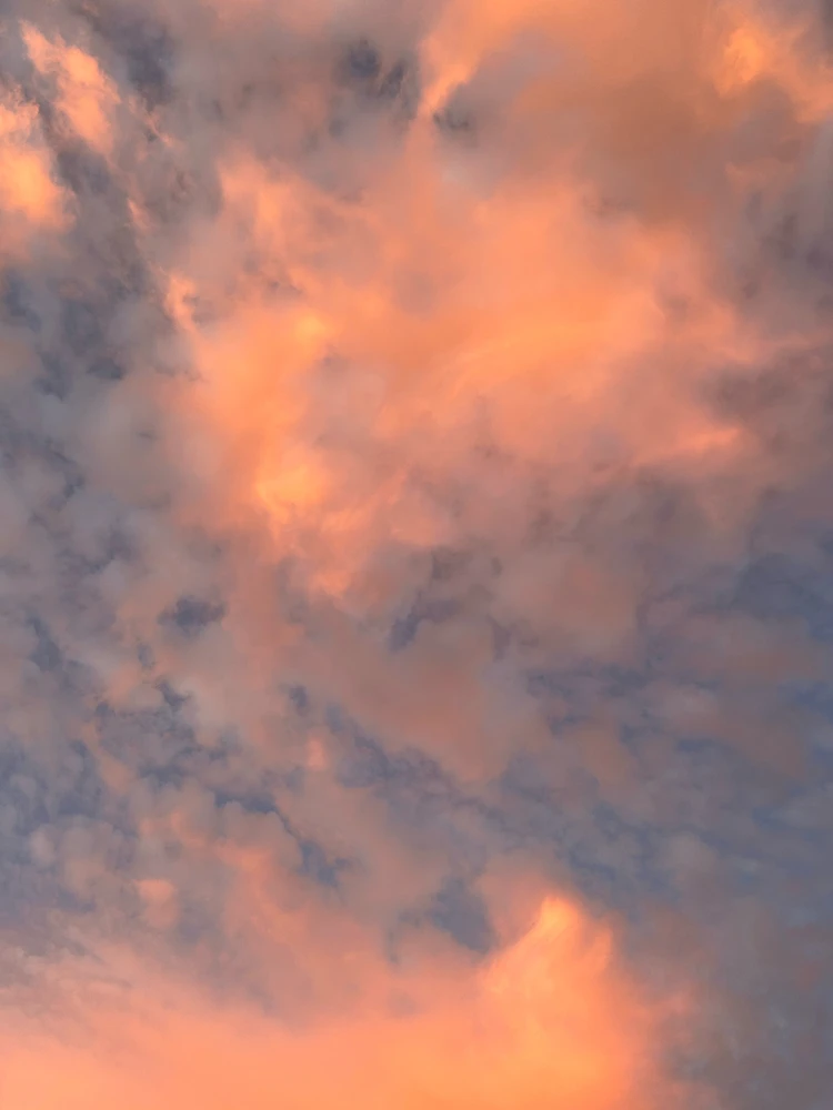 Image uploaded by Aidan