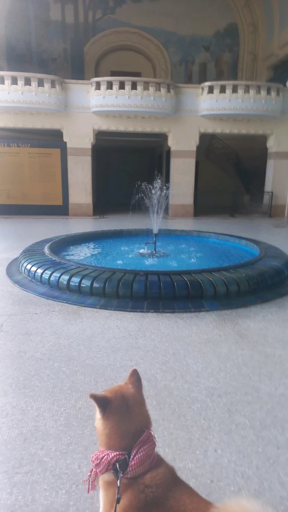 Image ajoutée par Tanguy