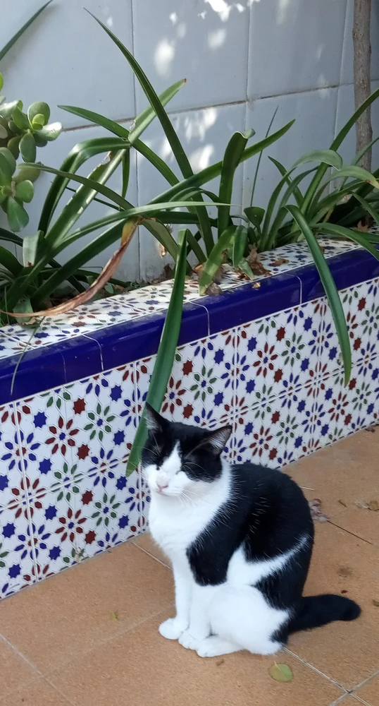 Imagen subida por Pedro