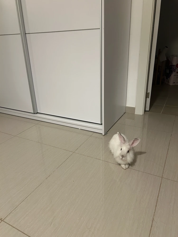 Image uploaded by Yaara