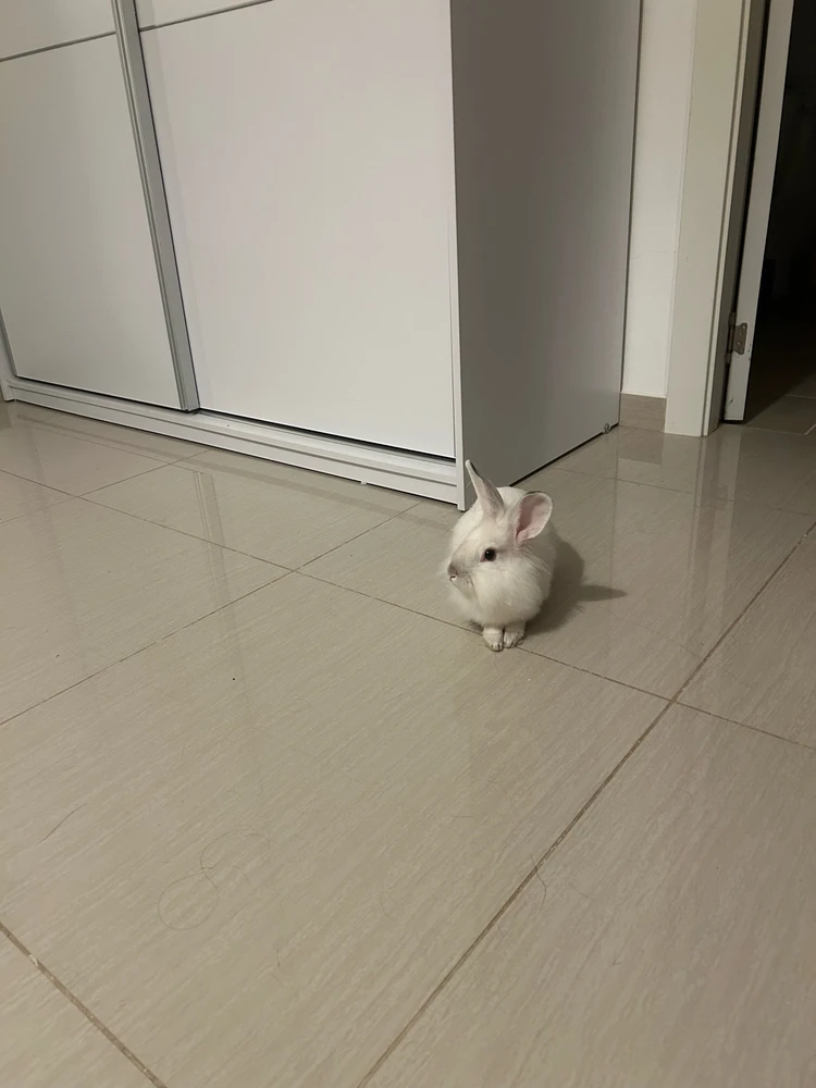 Image uploaded by Yaara