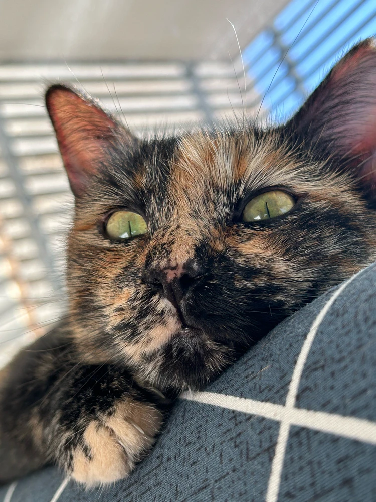 GIF uploaded by Yaara