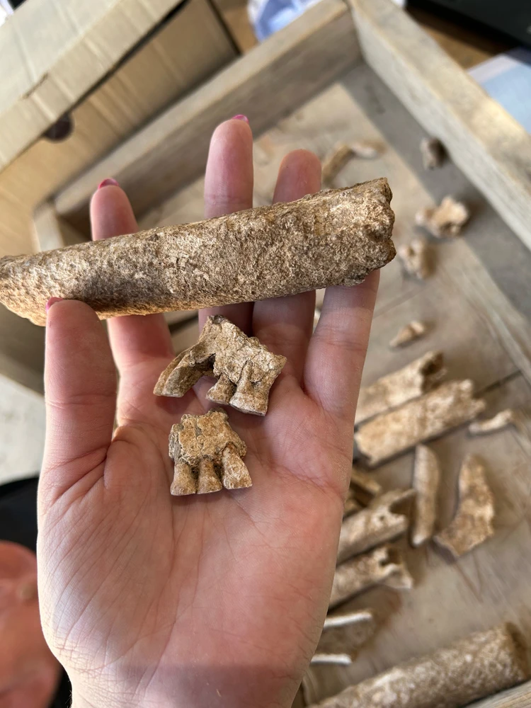 Image uploaded by Yaara