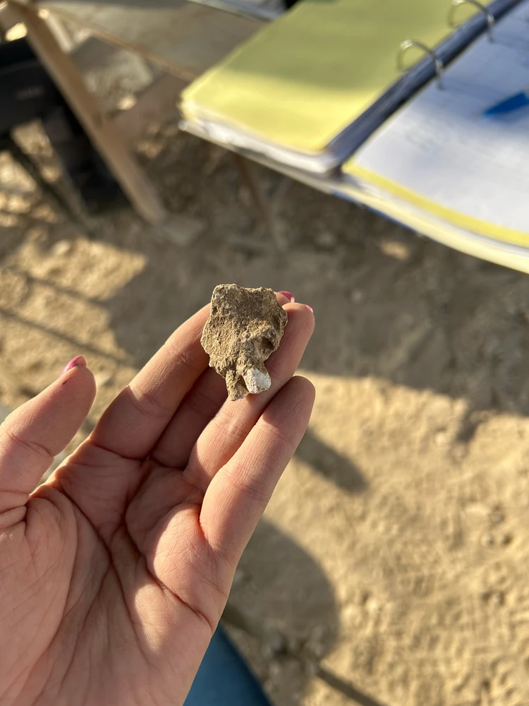 Image uploaded by Yaara