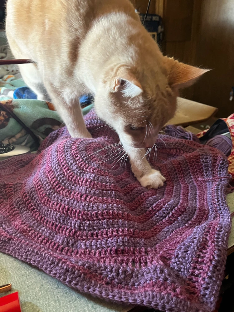 GIF uploaded by Callie