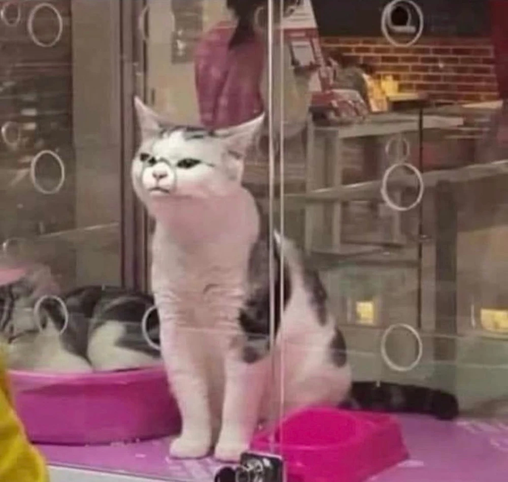 GIF hochgeladen von Tara