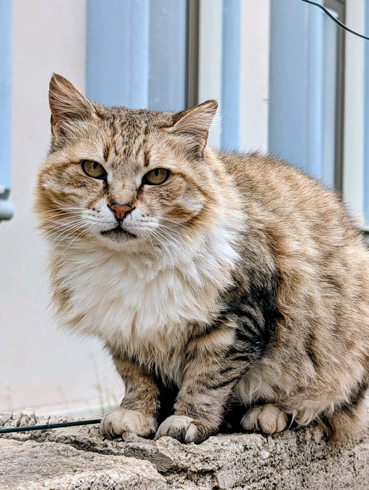 GIF uploaded by Aviv