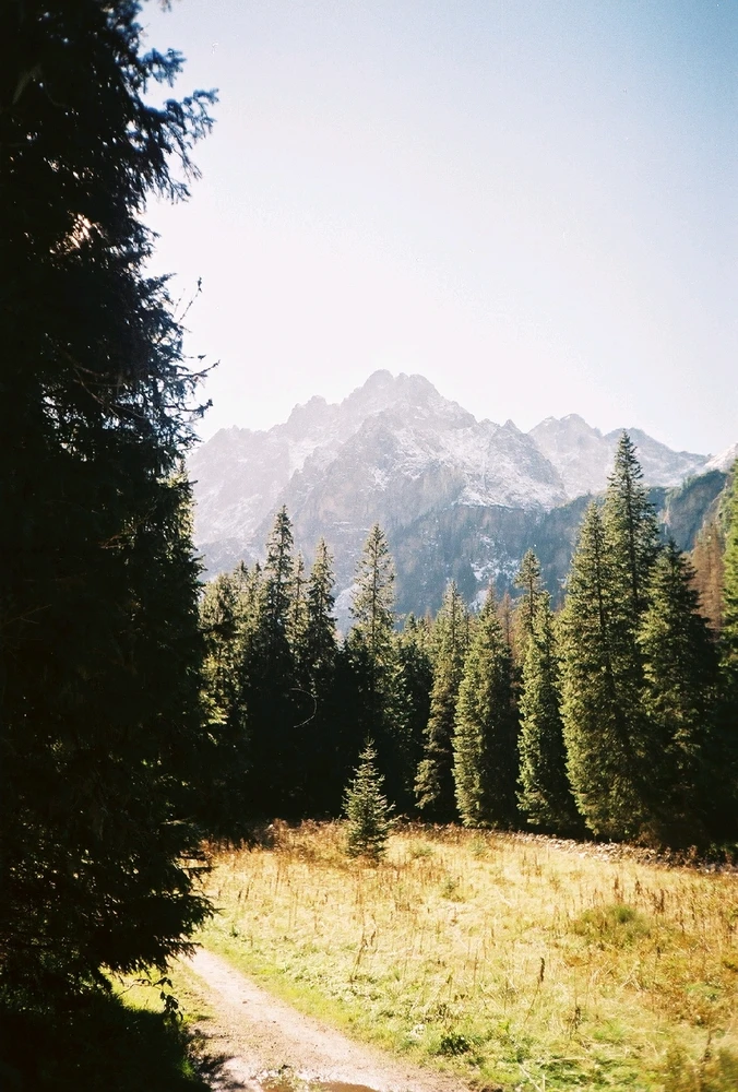 Image uploaded by Liza