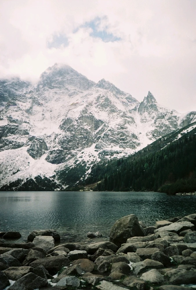 Image uploaded by Liza