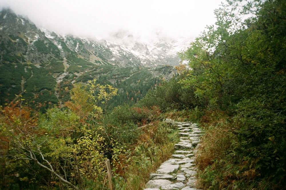 Image uploaded by Liza