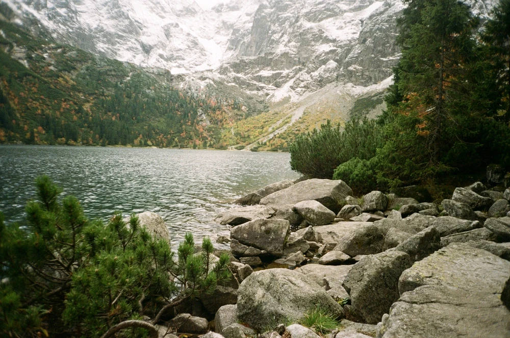 Image uploaded by Liza